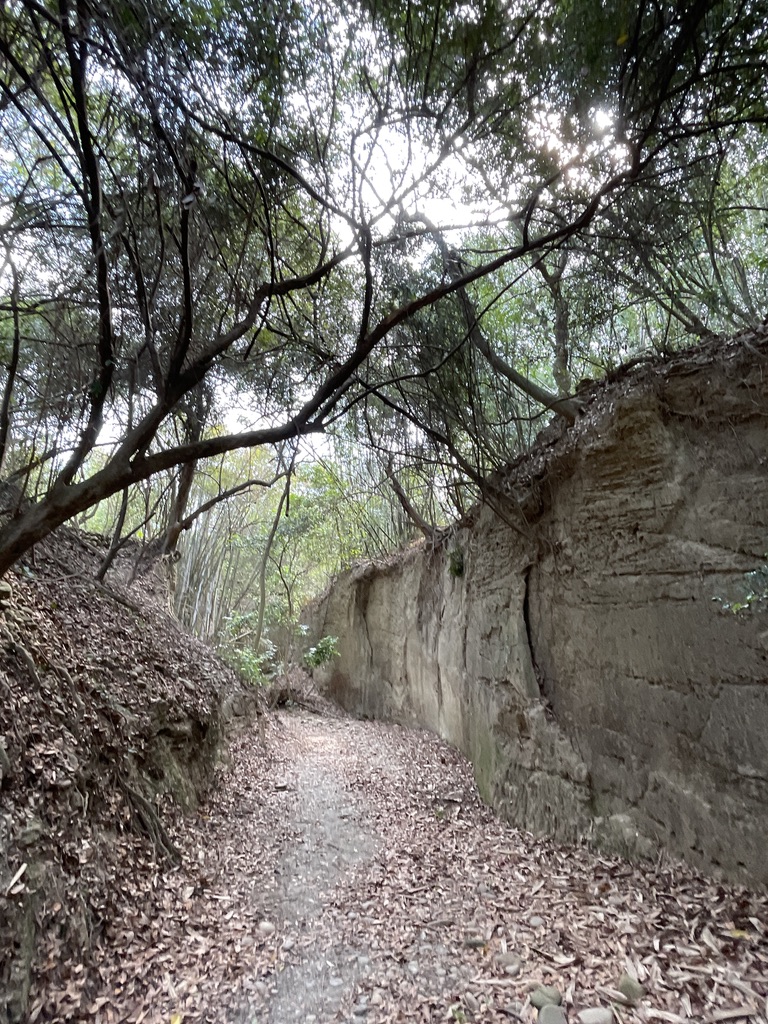 一線天步道兩旁為陡峭的岩壁及陡坡
