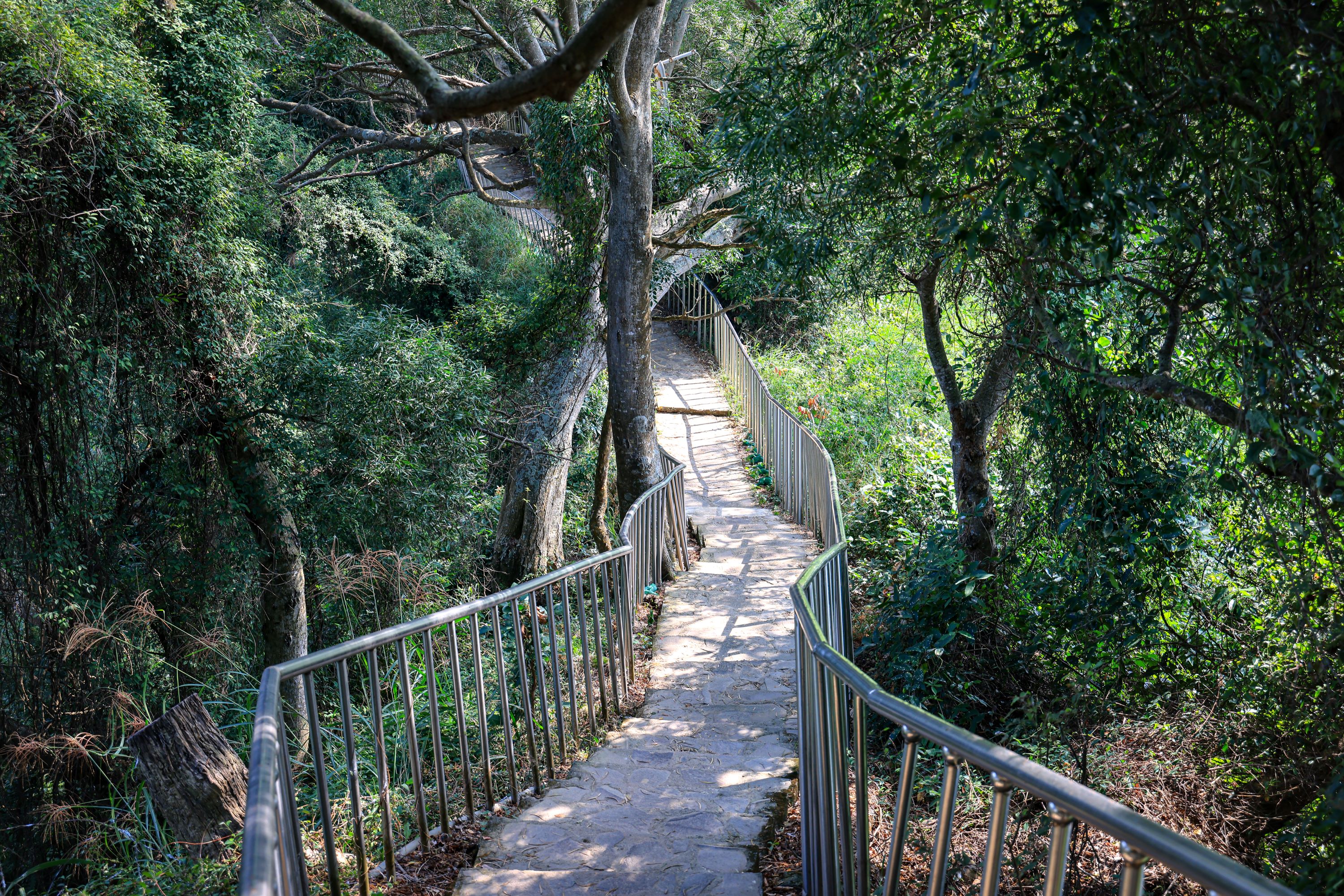 田中森林公園登山步道