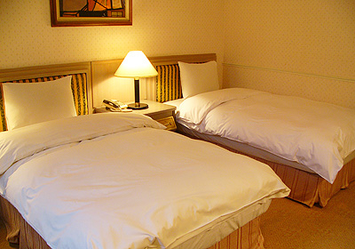雅迪大飯店-兩張單人床
