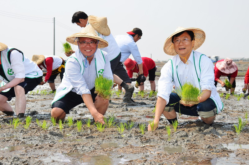 頂新國際集團與農會、農民共同合作打造孔孟好米，創造首次彰化大面積的稻田彩繪