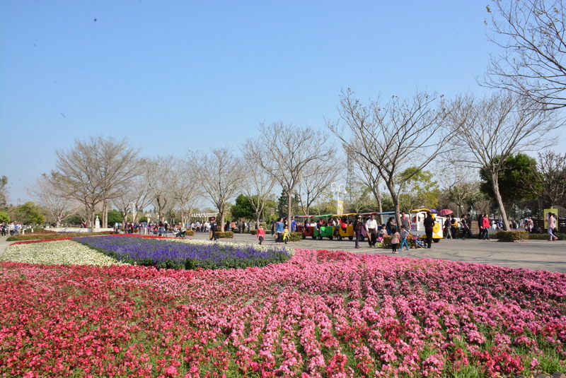 2015花在彰化圓滿閉幕