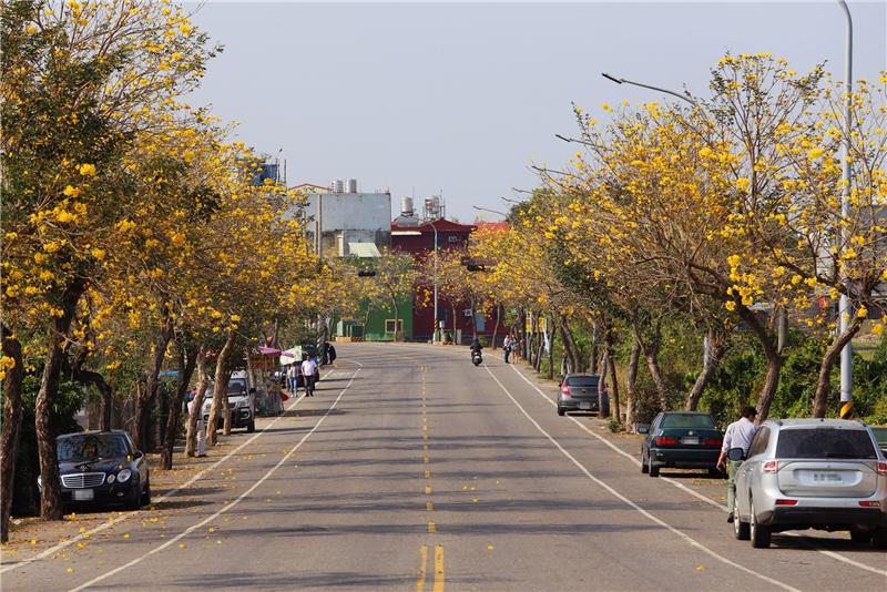 芬園彰南路(台14丁)