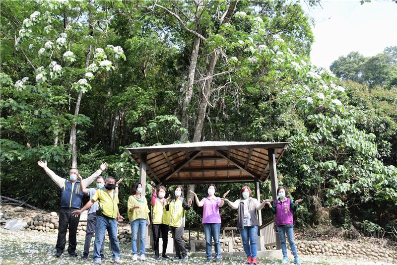 「挑水古道」賞桐花 走出戶外登山健身