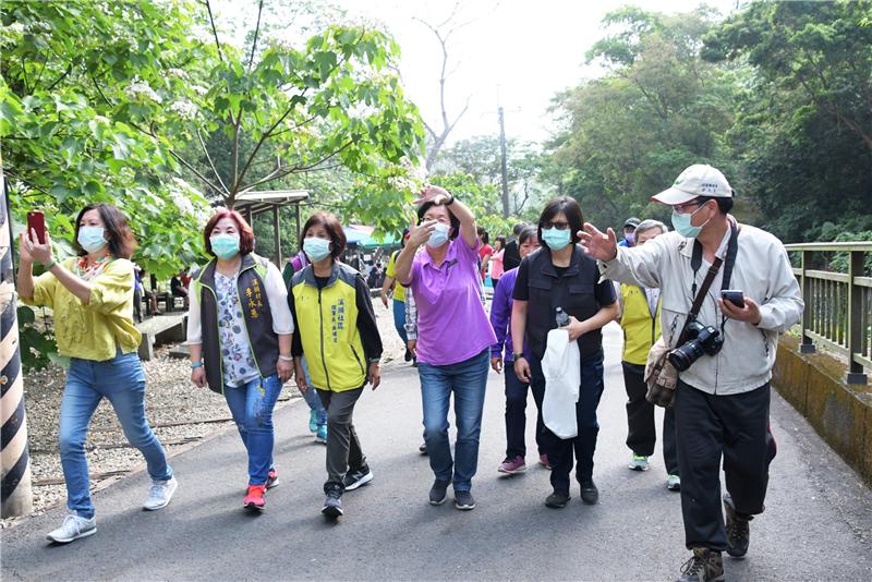 「挑水古道」賞桐花 走出戶外登山健身