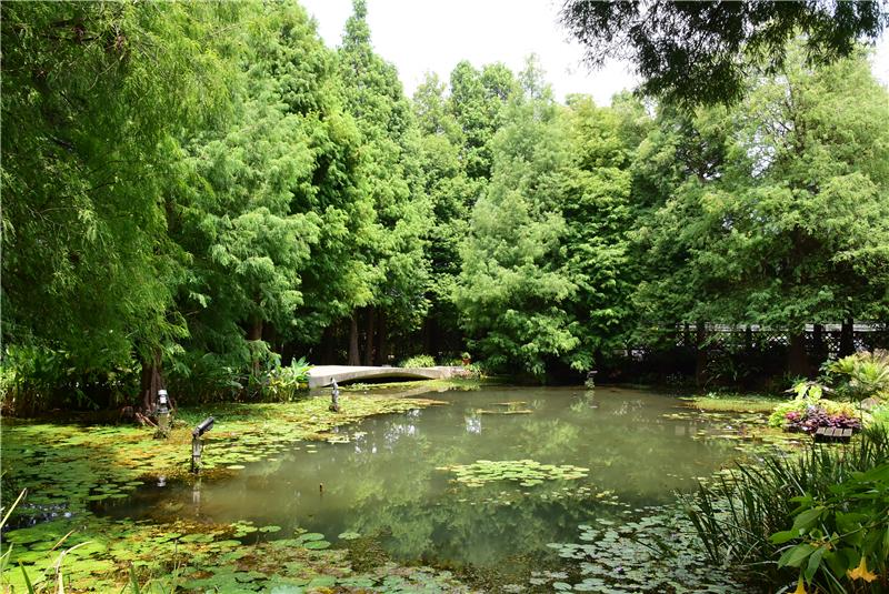 歡迎來彰化花的故鄉 田尾輕旅行拈花惹草