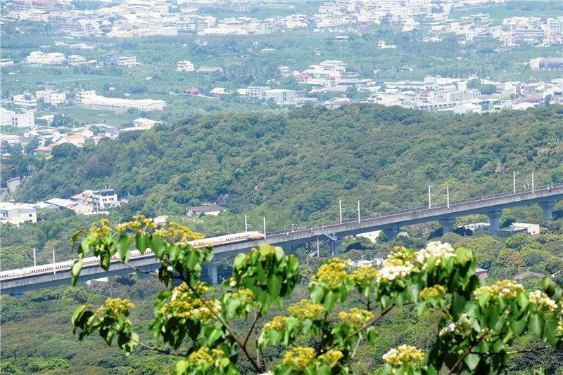 出遊吧！觀光步道森遊會，汽車「超高中獎率」等您抽回家