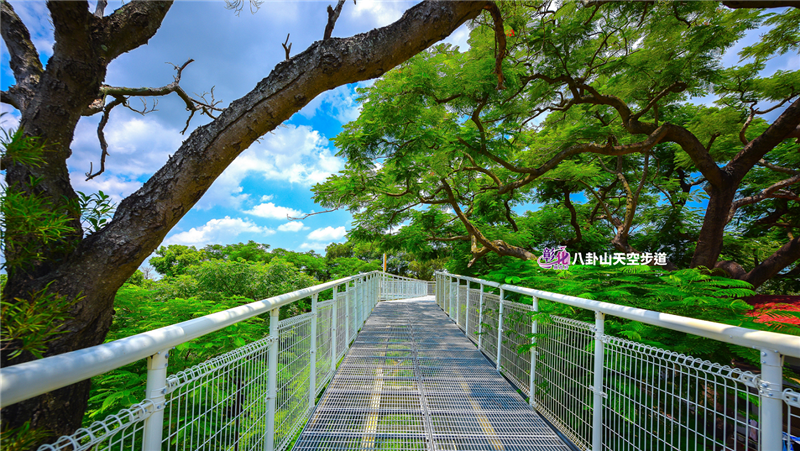 八卦山天空步道