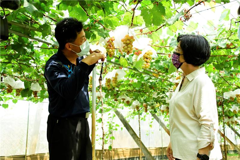 來去葡萄宿一晚　彰化休閒農場好去處