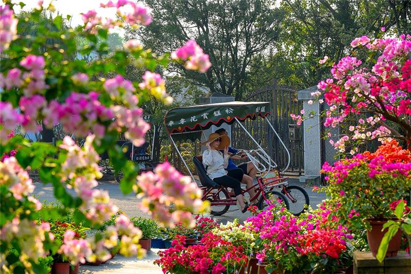 田尾公路花園