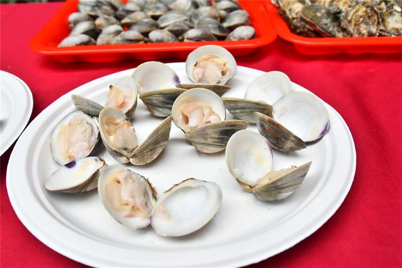 2025王功漁火節6/28-29精彩登場！多元活動與燈光藝術盛會等你來！