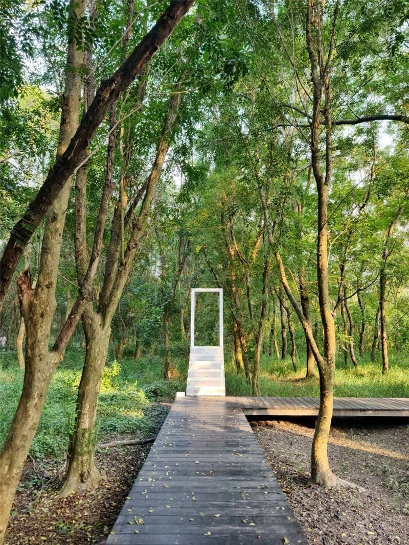 溪州公園森林木棧道區改善工程啟用 整修木棧道1,476平方公尺及多項設施