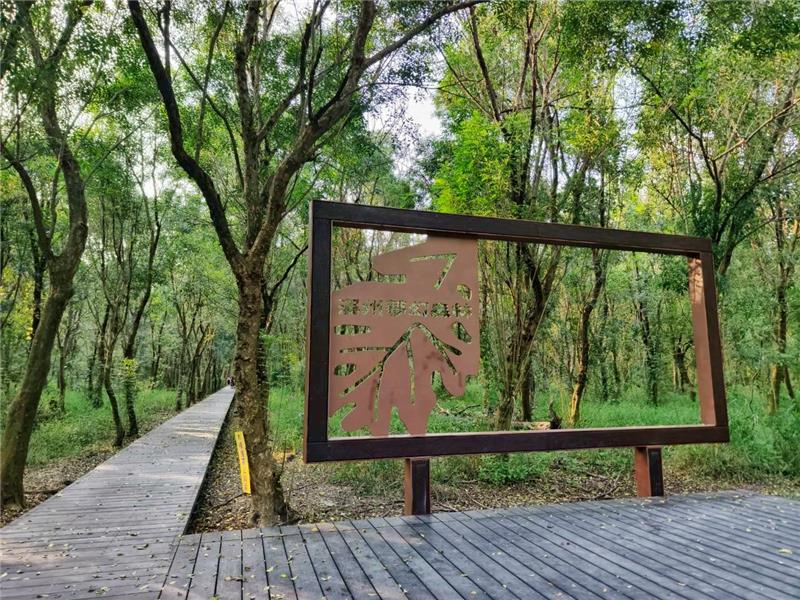 溪州公園森林木棧道區改善工程啟用 整修木棧道1,476平方公尺及多項設施