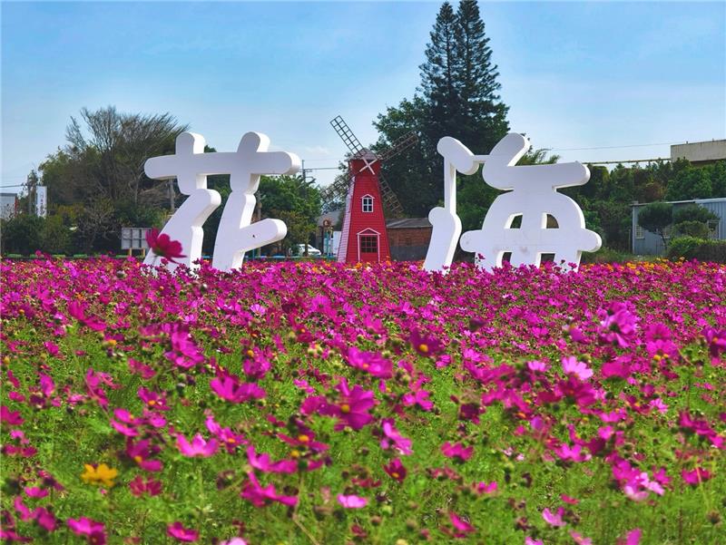 🌸 鄉間的春日畫卷｜彰化秀水・金陵村花海 🌸現在，正是最美的時刻