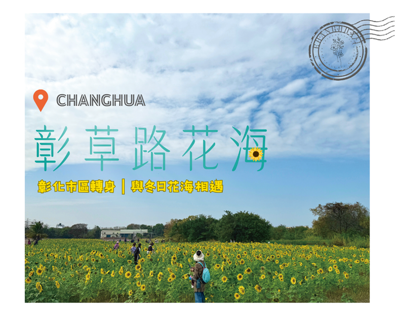 🌸 彰化市區｜轉身與冬日花海相遇🌸