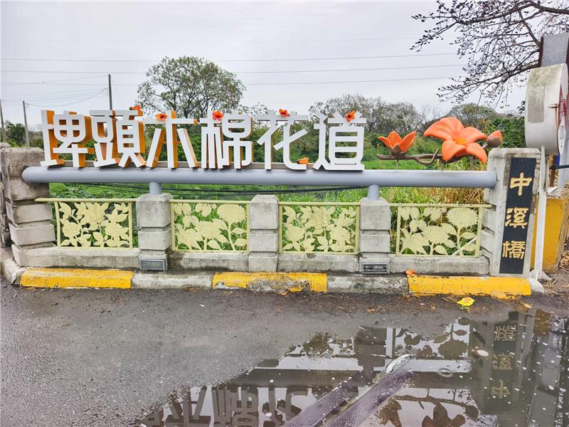 🌺 2026 木棉花季：有一種春天的紅，是木棉紅