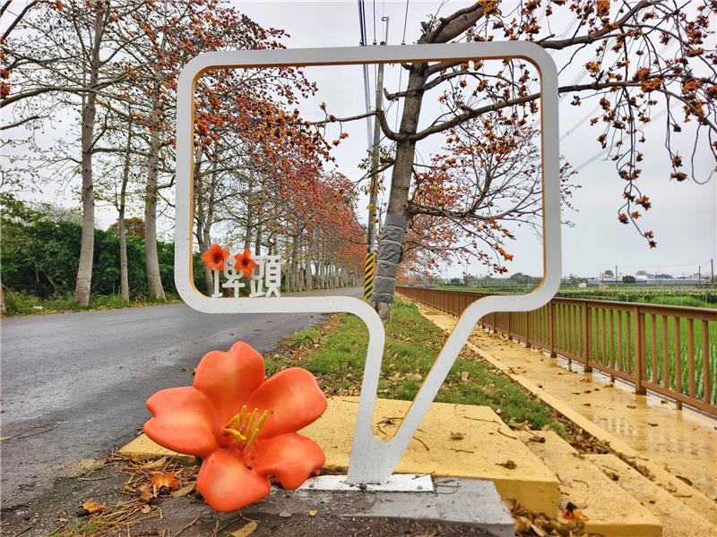 🌺 2026 木棉花季：有一種春天的紅，是木棉紅