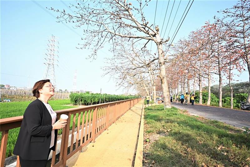 春日限定花海爆發！彰化木棉花季絕美綻放