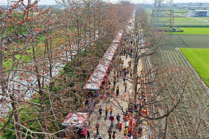 春日限定花海爆發！彰化木棉花季絕美綻放