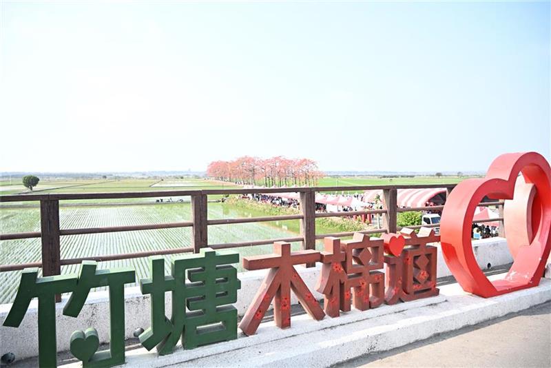 春日限定花海爆發！彰化木棉花季絕美綻放