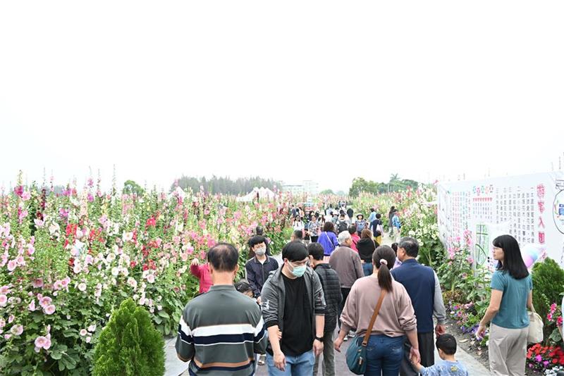 2026員林蜀葵花季盛大開幕 萬株花卉繽紛綻放