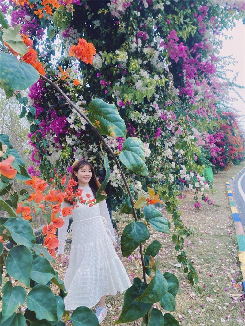 🌸春天就是要被花海包圍啊～👉 田中梅州街九重葛花牆