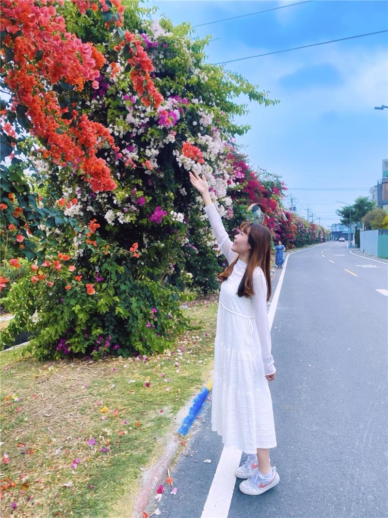 🌸春天就是要被花海包圍啊～👉 田中梅州街九重葛花牆