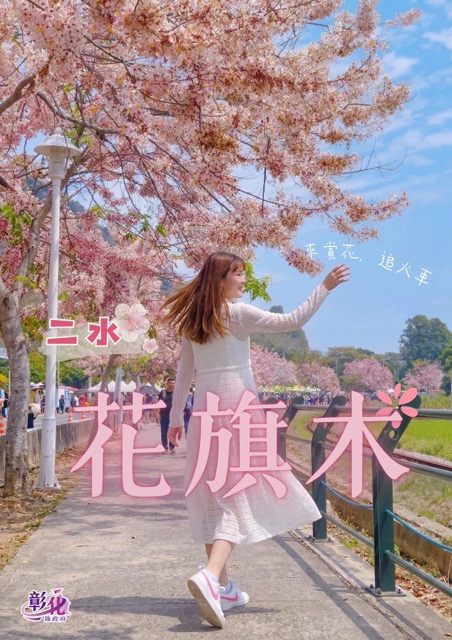 🌸 #花季限定粉紅鐵道｜二水花旗木盛開 🌸