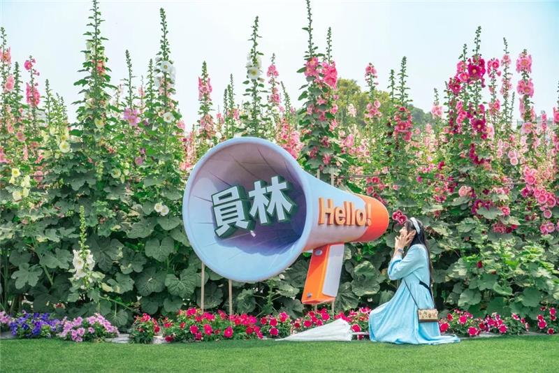 收假前來員林浪漫的賞花小旅行，跟著「花中巨人」去冒險好好療癒一下吧！✨