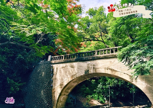 🌺【鳳凰花開＿盛夏的初章】🌺
