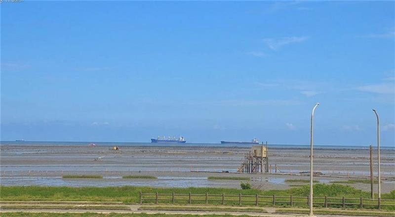 跟著鏡頭君徜徉海風、濕地與夕陽！白色海豚屋4K即時影像帶你感受彰化海岸魅力