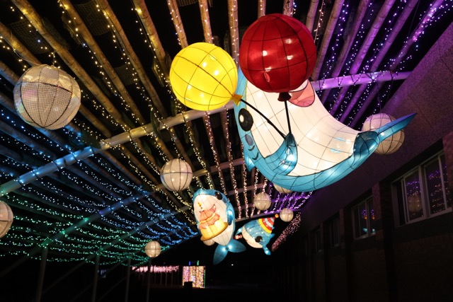 ✨ 夜太美！王功海洋嘉年華「夢幻光環境」璀璨登場 ✨