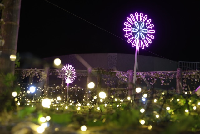 ✨ 夜太美！王功海洋嘉年華「夢幻光環境」璀璨登場 ✨