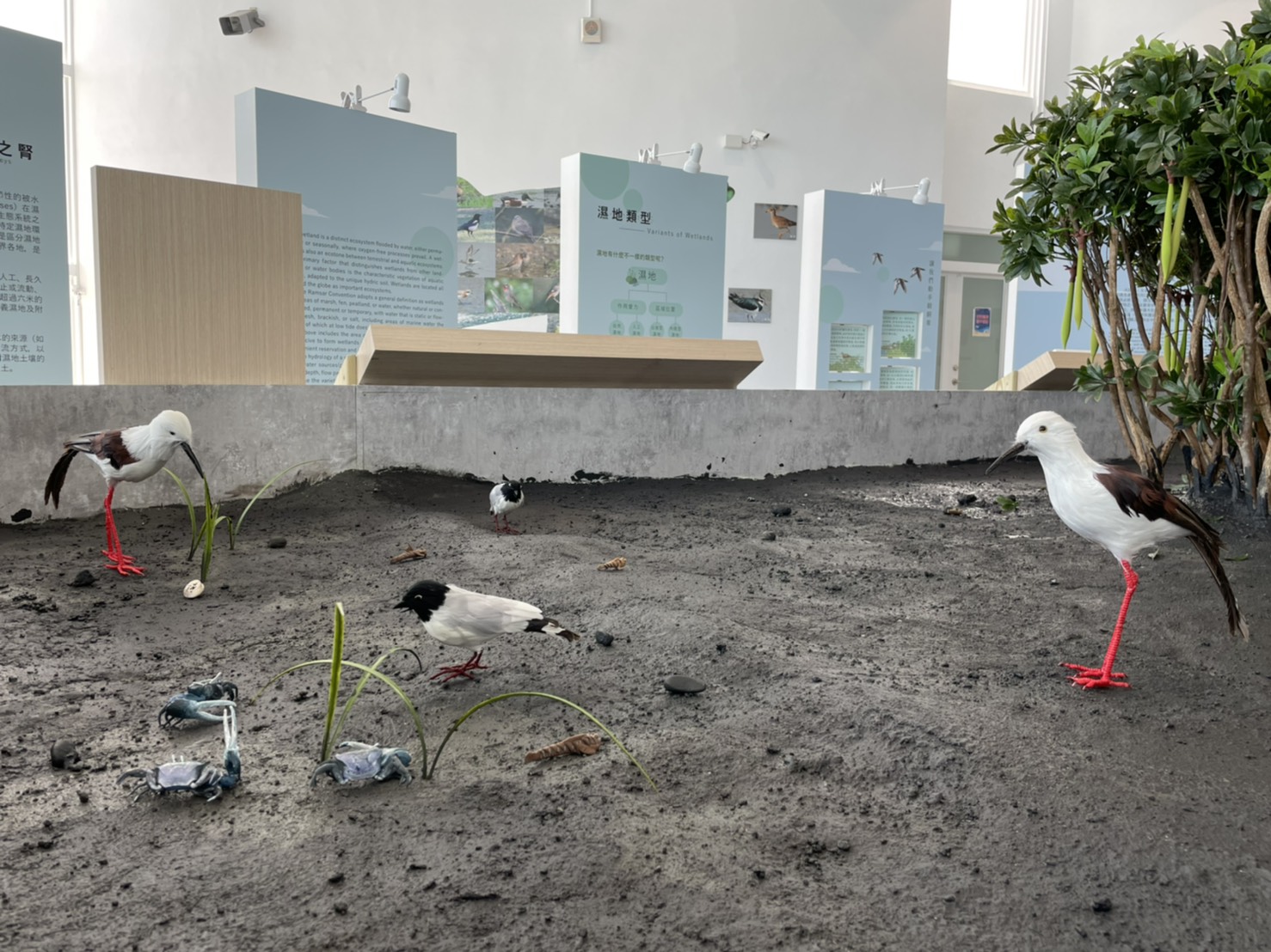 縣府將於最美的海濱建築-彰化縣自然生態教育中心舉辦「漫遊濕地」展覽活動