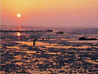 Bird-watching at Fubao Wetland