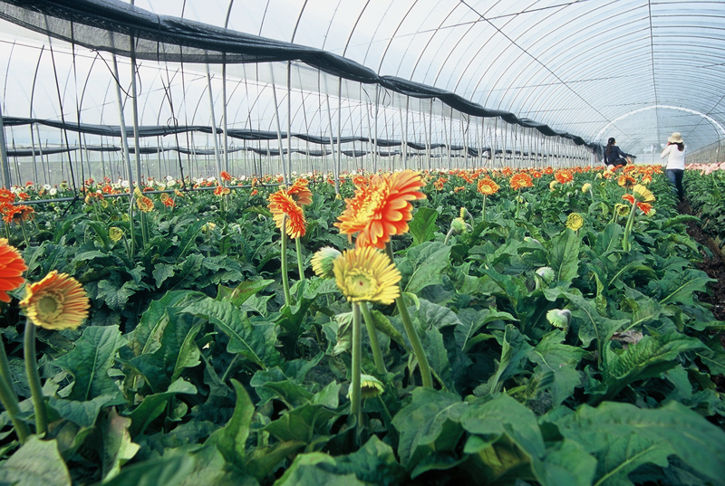 Tianwei Highway Garden  