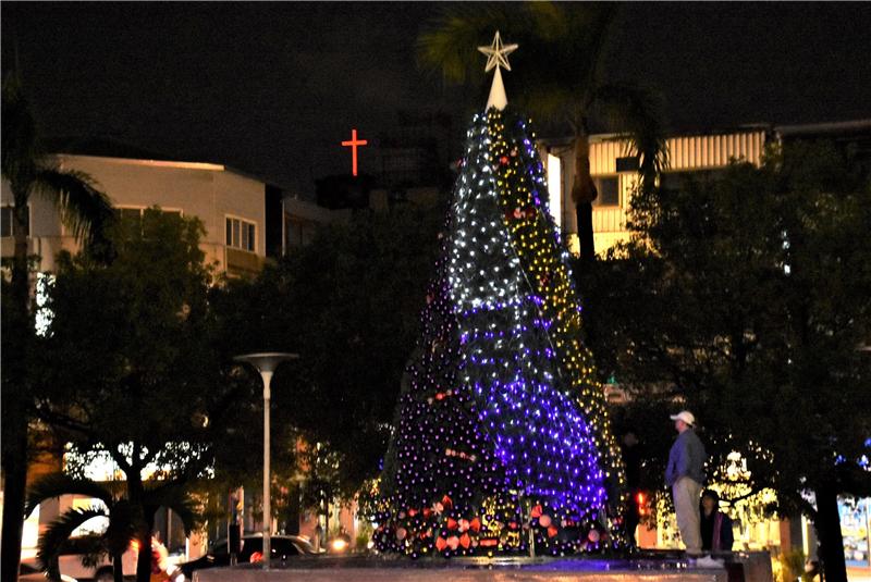 クリスマスを祝して 県庁前広場のクリスマスツリーが点灯