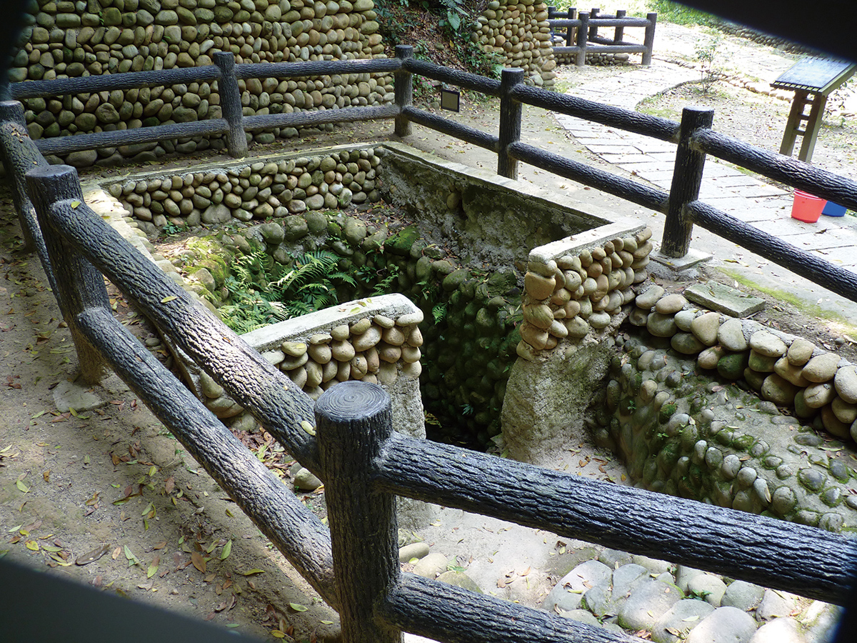 魅力いっぱい 挑水古道でアブラギリの花を楽しむ-4