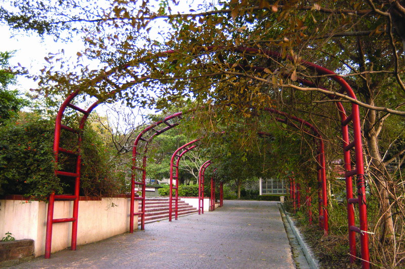 華やかで美しい 田中森林公園・赤水崎歩道(登山と昔を懐かしむ旅)-2