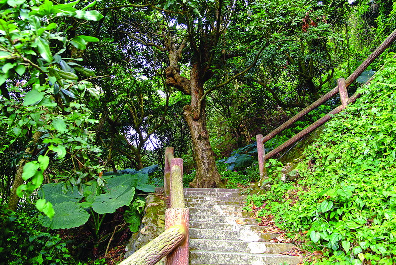 魅力いっぱい 百果山登山歩道（百坎歩道）(健康散歩・景色観賞の旅)-3