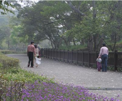 美しい 赤水崎公園-6