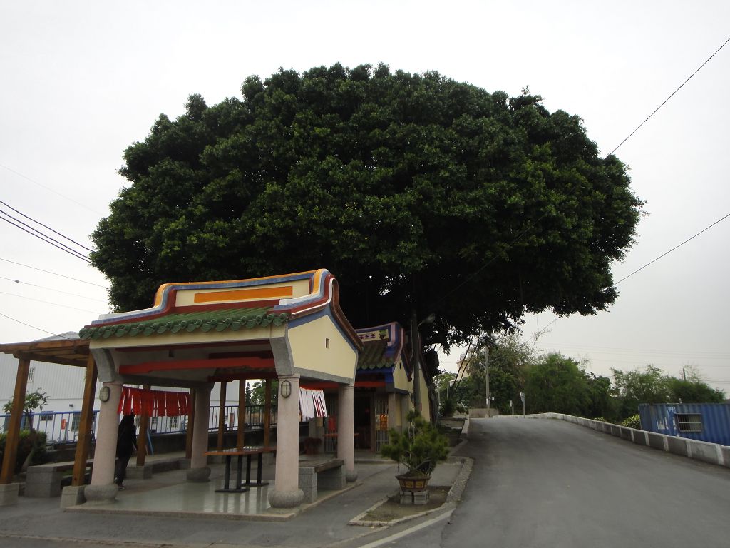 素晴らしい 錫安祠樹包廟-1