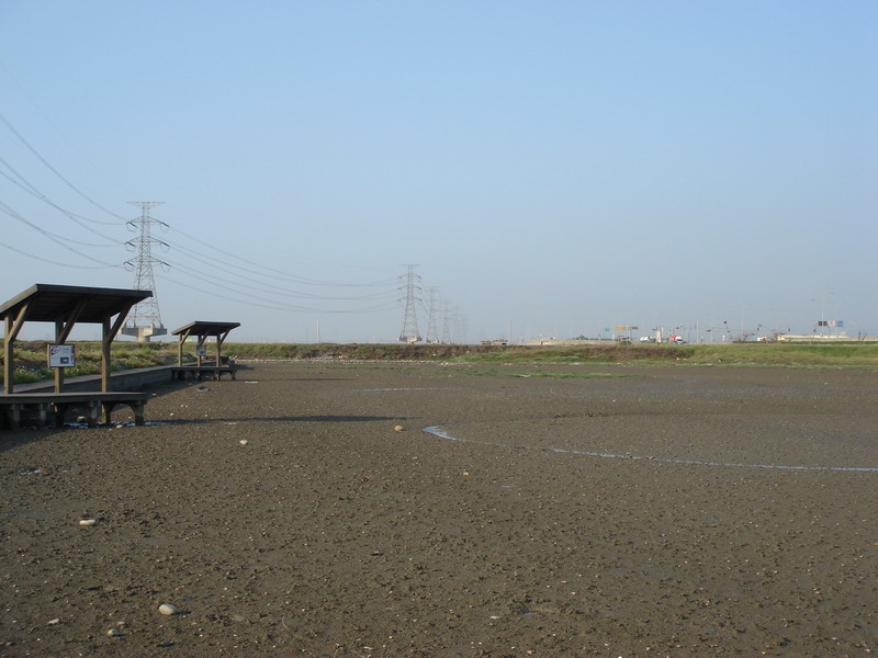 素晴らしい 伸港浜辺で牛車に乗る-1