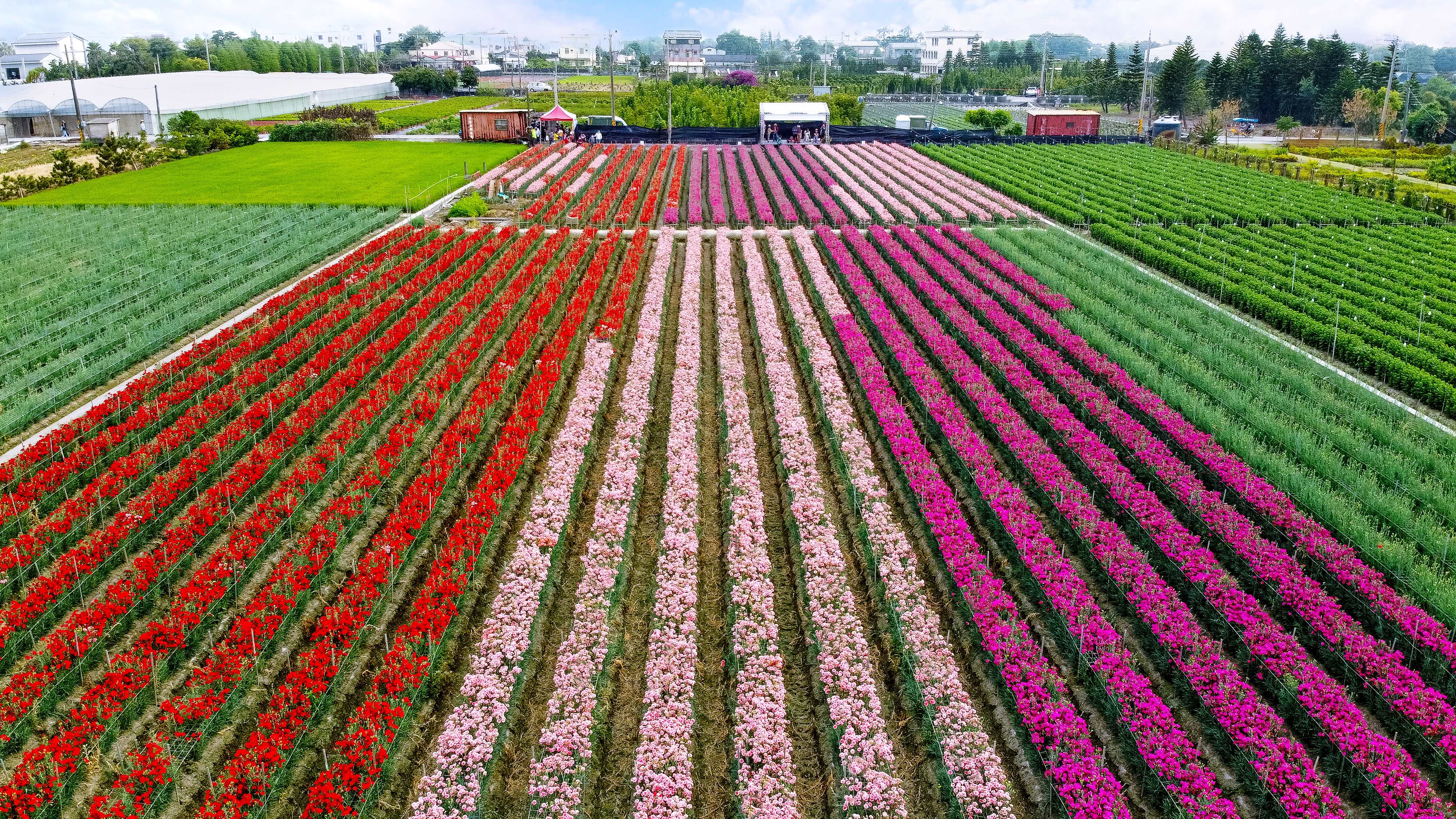 田尾公路花園