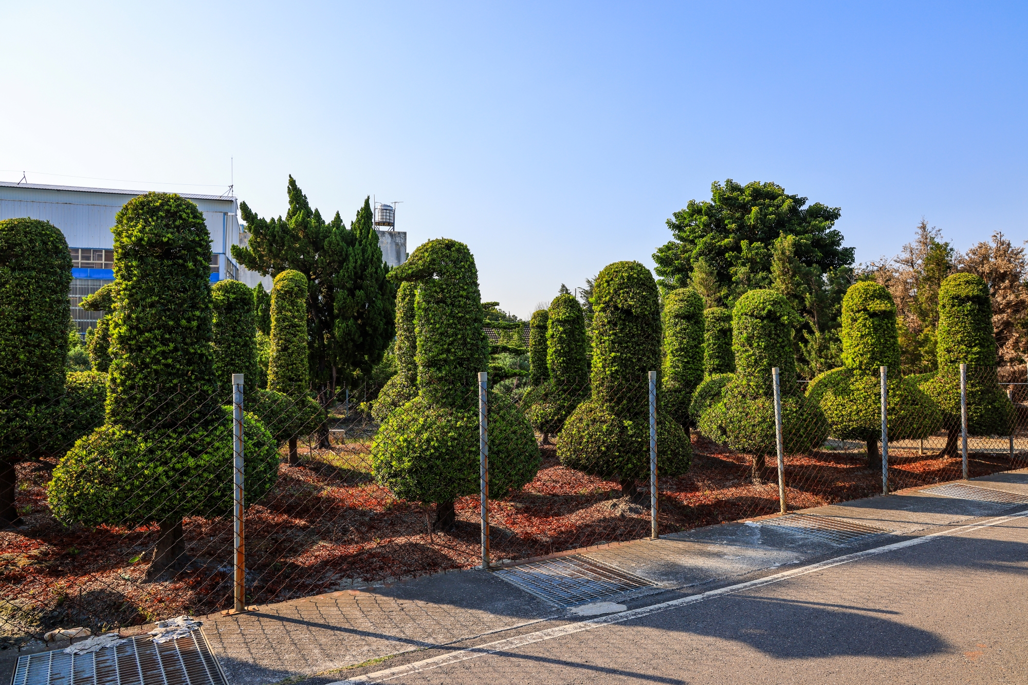 田尾公路花園