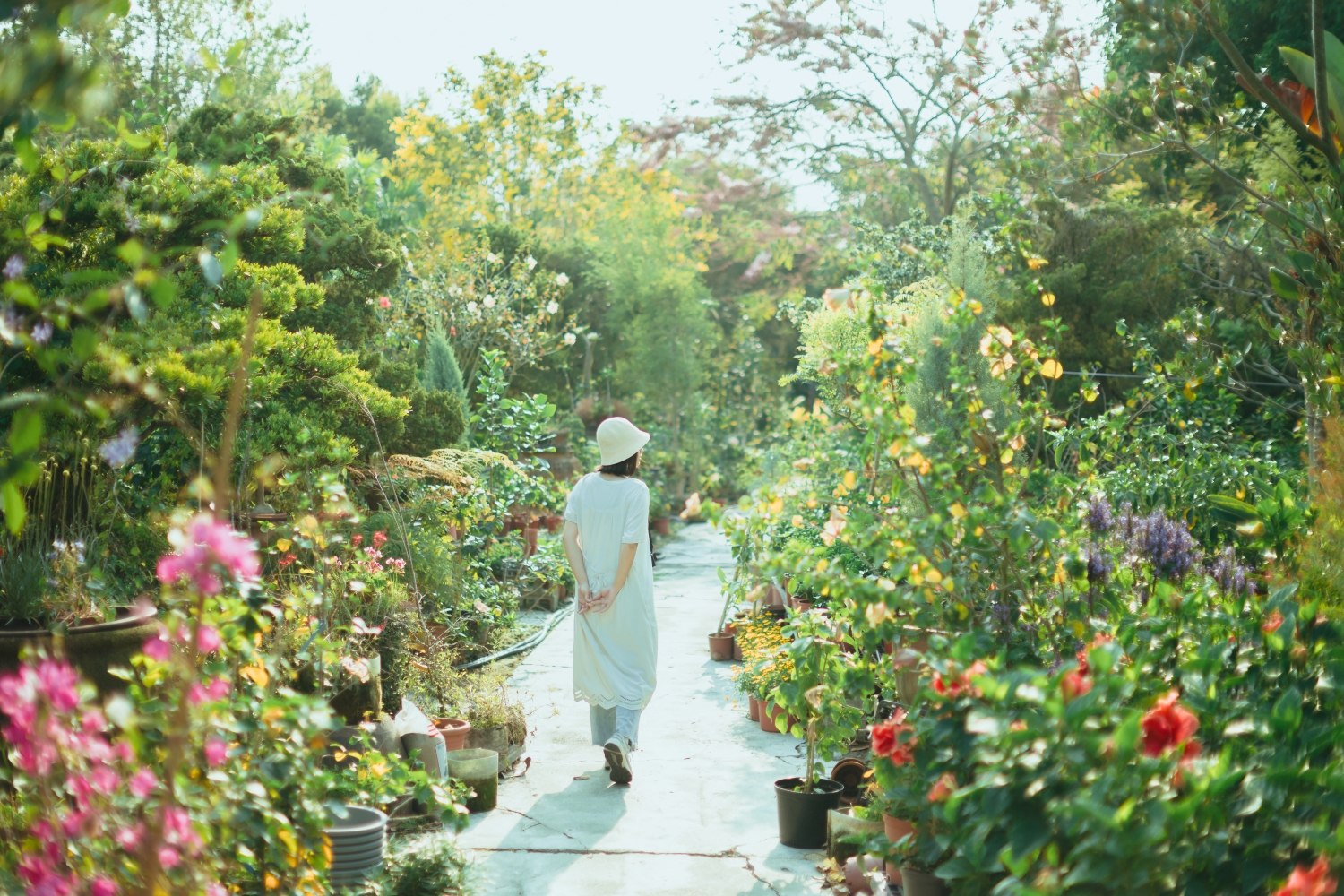 田尾公路花園