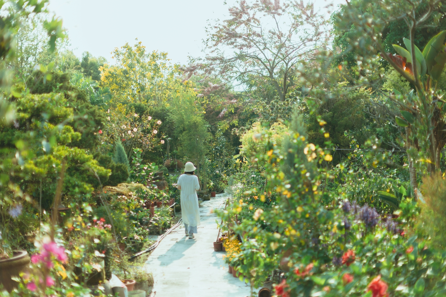 田尾公路花園