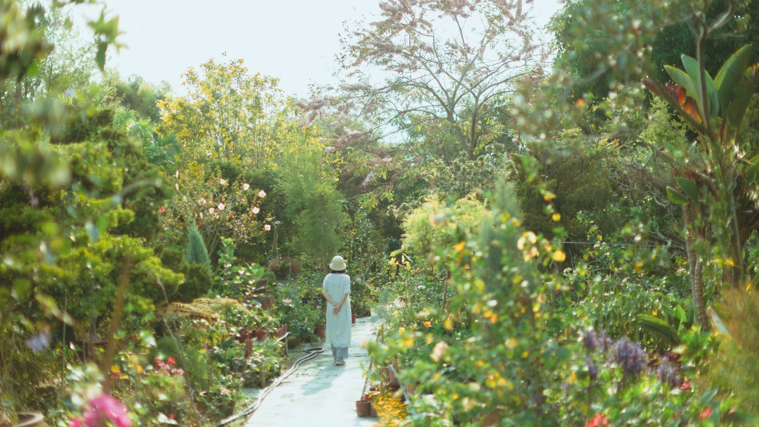 田尾公路花園