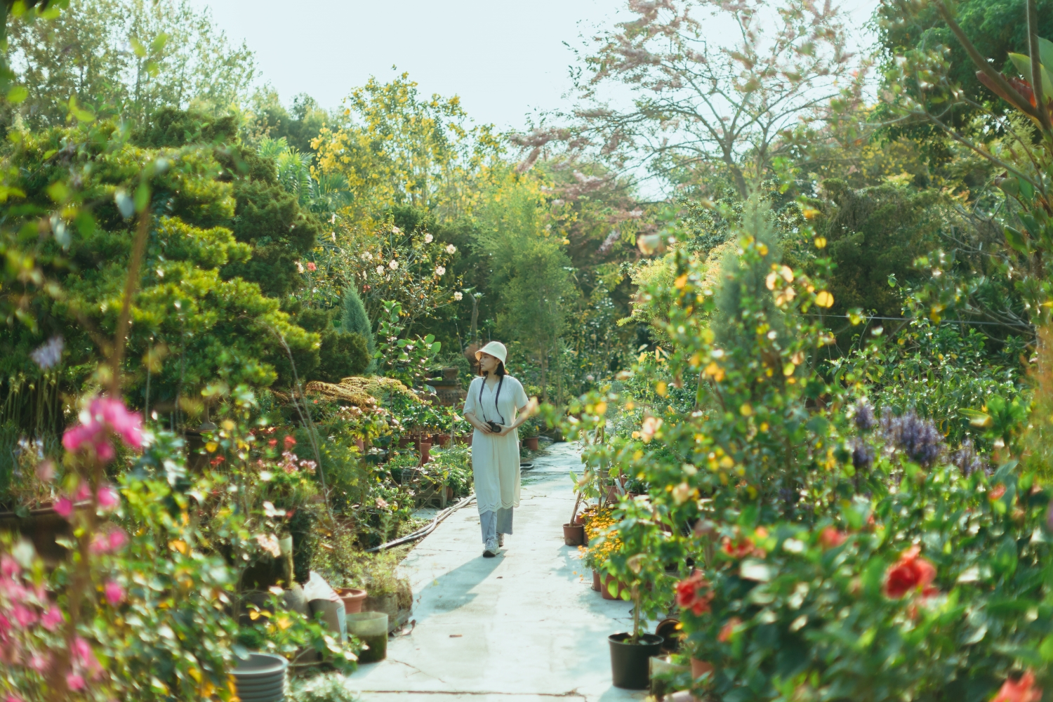 田尾公路花園