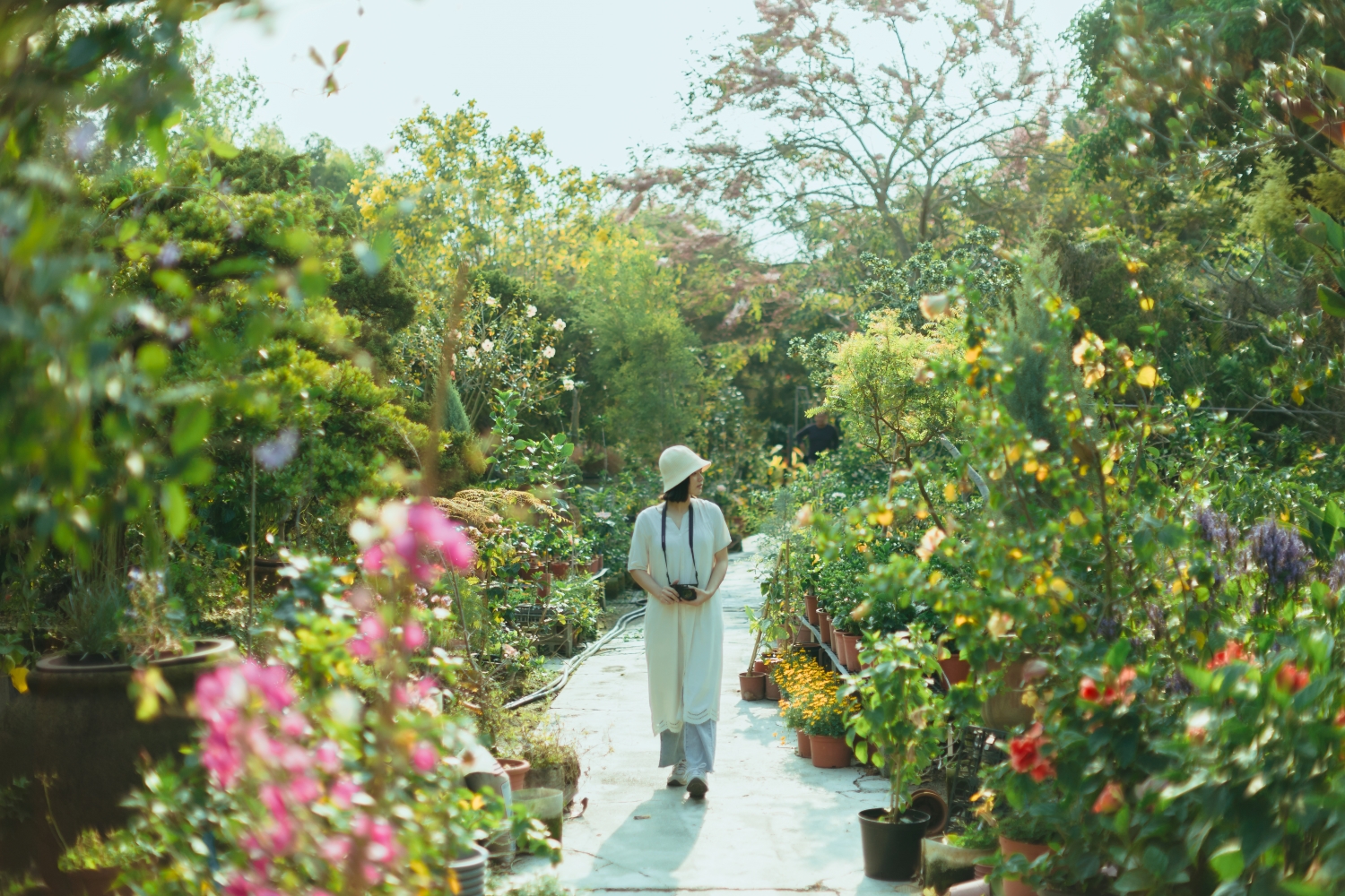 田尾公路花園