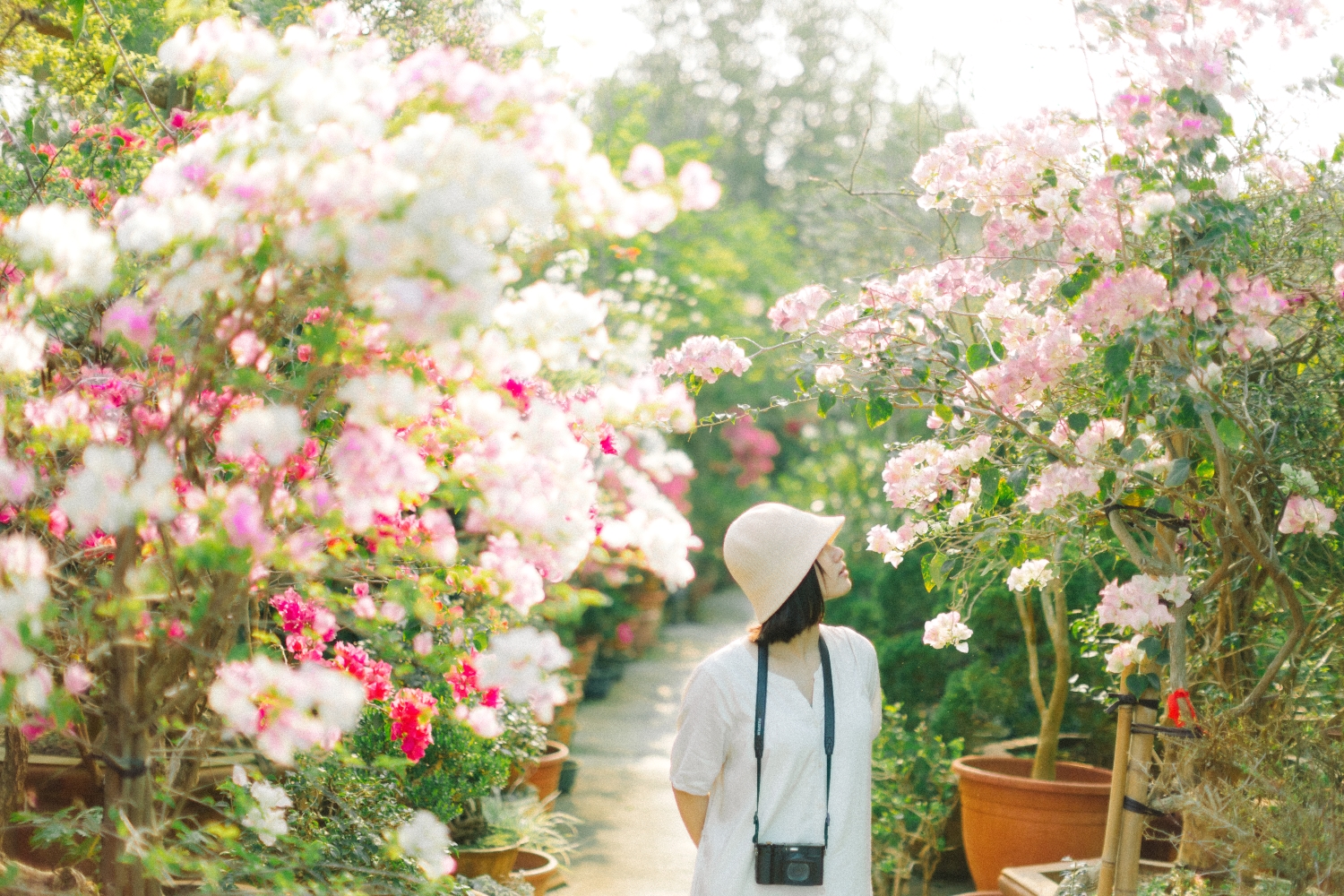 田尾公路花園